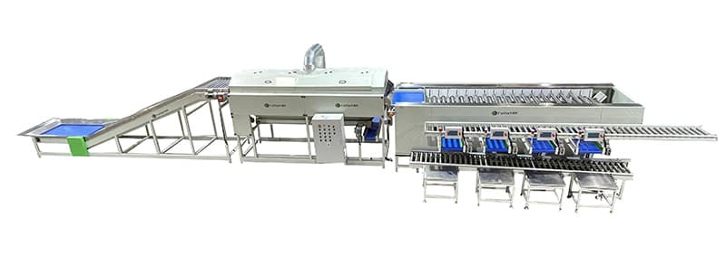 images/1662539751177potato washing grading machine.jpg